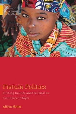 bokomslag Fistula Politics