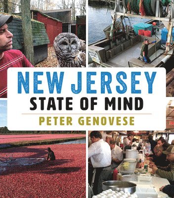 New Jersey State of Mind 1