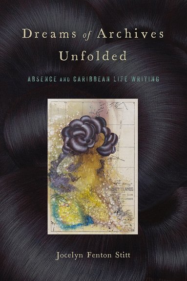 Jocelyn Fenton Stitt - Dreams of Archives Unfolded, Häftad