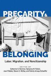 bokomslag Precarity and Belonging