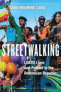 bokomslag Streetwalking: LGBTQ Lives and Protest in the Dominican Republic