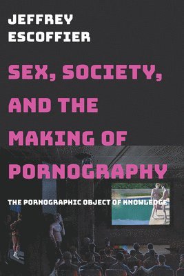 Sex, Society, and the Making of Pornography: The Pornographic Object of Knowledge