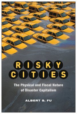 Risky Cities 1