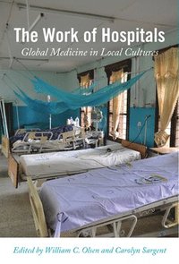 bokomslag The Work of Hospitals: Global Medicine in Local Cultures