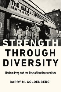 bokomslag Strength Through Diversity