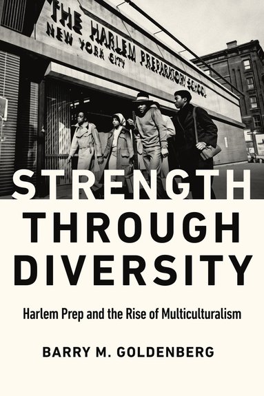 bokomslag Strength Through Diversity