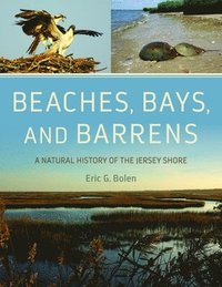 bokomslag Beaches, Bays, and Barrens