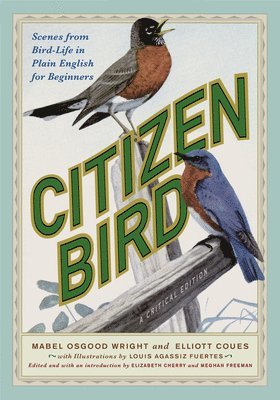 Citizen Bird 1