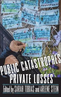 bokomslag Public Catastrophes, Private Losses