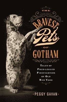 The Bravest Pets of Gotham 1