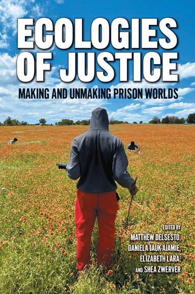 Matthew DelSesto, Daniela Jauk-Ajamie, Elizabeth Lara, Shea Zwerver - Ecologies of Justice, Häftad