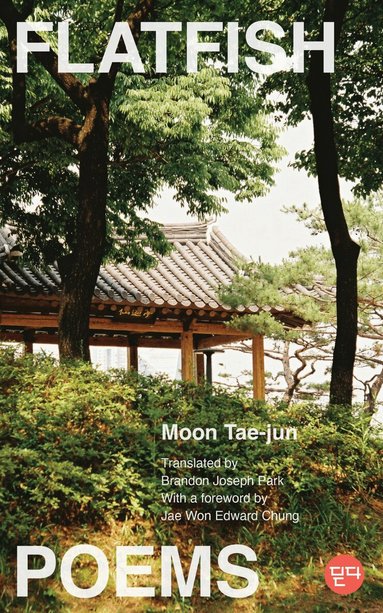 Moon Tae-jun, Tae-jun Moon, Tae-Jun Moon - Flatfish, Häftad