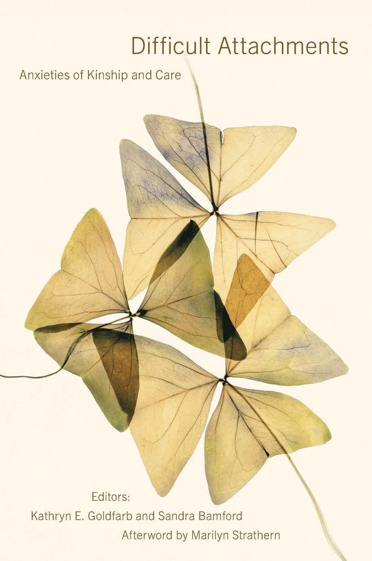 Kathryn E. Goldfarb, Sandra Bamford, Kathryn E Goldfarb - Difficult Attachments, Häftad