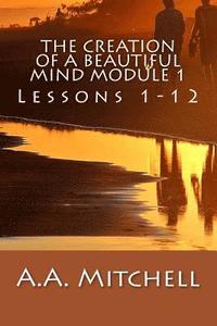 bokomslag The Creation of a Beautiful Mind Module 1: Lessons 1-12