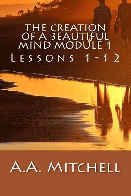 bokomslag The Creation of a Beautiful Mind Module 1: Lessons 1-12