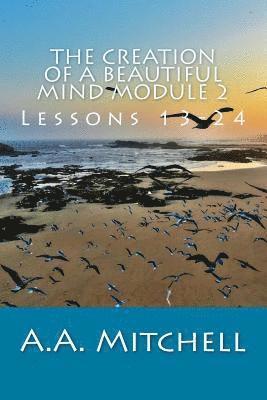 bokomslag The Creation of a Beautiful Mind Module 2: Lessons 13-24