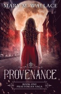 bokomslag Provenance