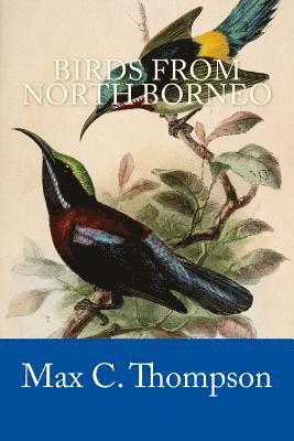 Birds from North Borneo 1