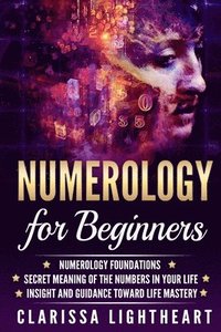 bokomslag Numerology for Beginners