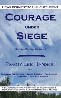 bokomslag Courage Under Siege: Bewilderment to Enlightenment