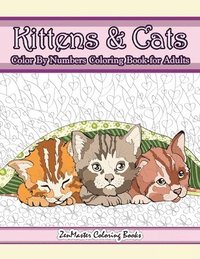 bokomslag Kittens and Cats Color By Numbers Coloring Book for Adults