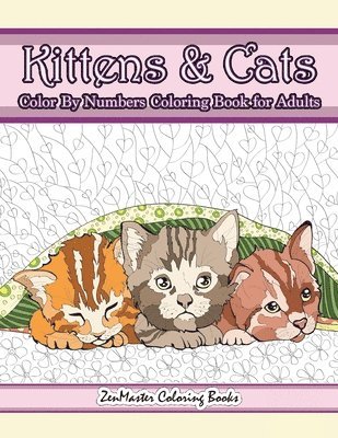 Kittens and Cats Color By Numbers Coloring Book for Adults 1