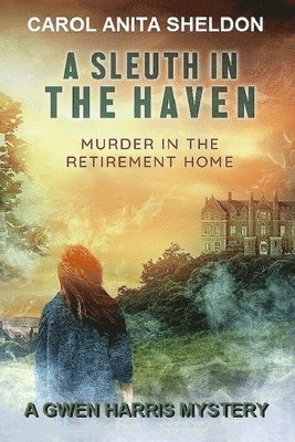 A Sleuth in The Haven 1