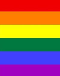 bokomslag Pride Diary
