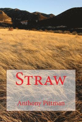 Straw 1