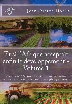 Et si l'Afrique acceptait enfin le développement ! - Volume 1: Dans une Afrique si riche, comment faire pour que les africains ne soient plus pauvres 1