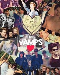 bokomslag The Vamps Diary