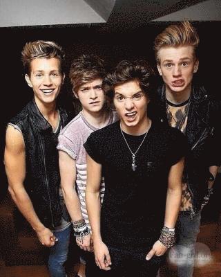 The Vamps Diary 1