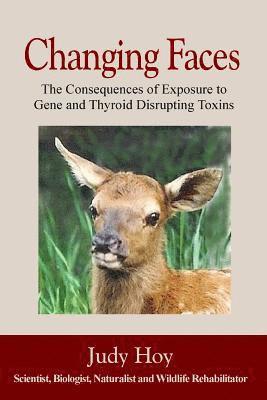 bokomslag Changing Faces: The Consequences of Exposure to Gene and Thyroid Disrupting Toxins