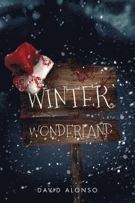 Winter Wonderland 1