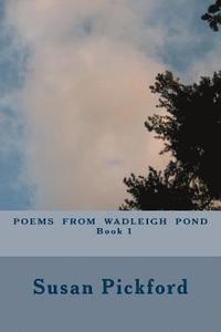 bokomslag Poems From Wadleigh Pond Book One