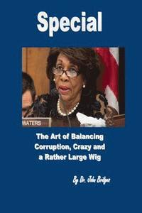bokomslag Special: The Art of Balancing Corruption, Crazy, and a Rather Large Wig