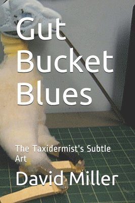 bokomslag Gut Bucket Blues: The Taxidermist's Subtle Art