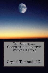 bokomslag The Spiritual Connection: Receive Divine Healing