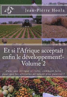 Et si l'Afrique acceptait enfin le développement!-Volume 2: Dans une Afrique si riche, comment faire pour que les africains ne soient plus pauvres ? 1