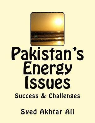 Pakistan's Energy Issues: Success and Challenges 1