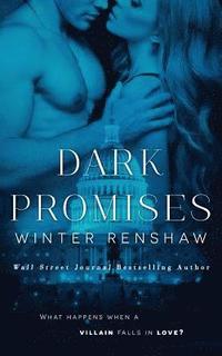 bokomslag Dark Promises
