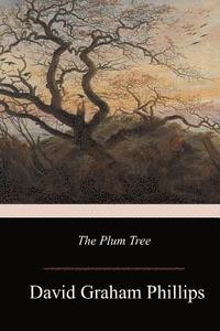 bokomslag The Plum Tree
