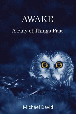 Michael David - Awake: A Play, Häftad. Tillgänglighet: Lägg i varukorg