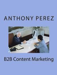bokomslag B2B Content Marketing
