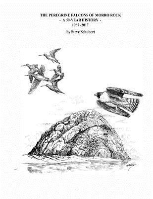 Steve C. Schubert - The Peregrine Falcons of Morro Rock - A 50-Year History: 1967 - 2017, Häftad