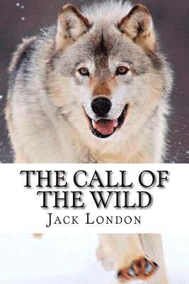 bokomslag The Call of the Wild