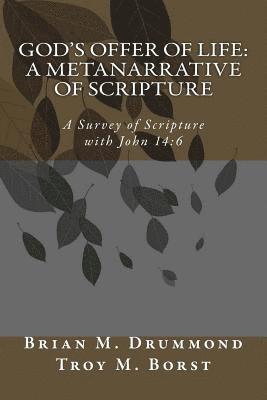 bokomslag God's Offer of Life: A Metanarrative of Scripture: A Survey of Scripture with John 14:6