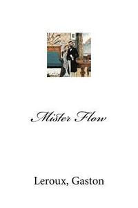 bokomslag Mister Flow
