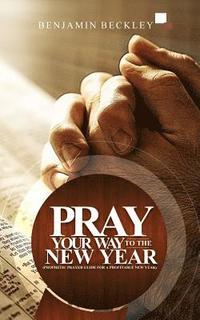 bokomslag Pray Your Way To The New Year: Prophetic Prayer Guide For A Profitable New Year