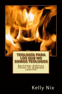 Kelly Nix - Teología para los que no somos teólogos: Doctrinas bíblicas claves en lenguaje sencillo, Häftad